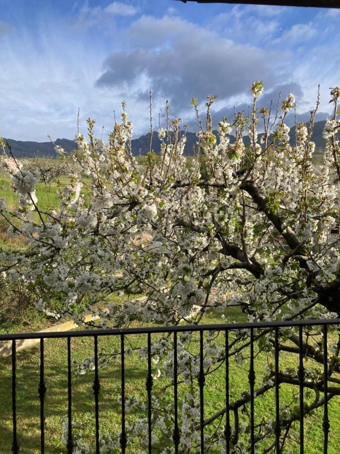 Mirada A Gredos Villa Candeleda Buitenkant foto